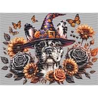 Halloween-WS 986